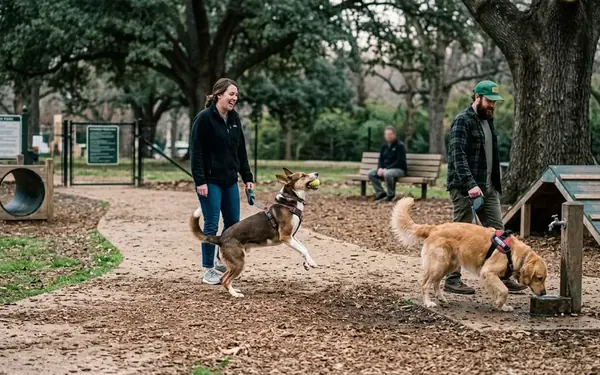 Top Dog-Friendly Parks and Trails in Memphis, TN