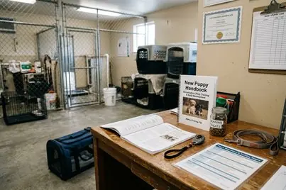 Puppy care enrichment analysis